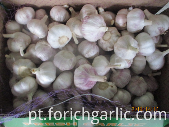 How To Save Fresh Garlic